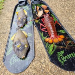Alternative view of Wettie Elite Composite Blades