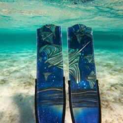 Alternative view of Penetrator Manta Ray Composite Blades